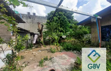 Commercial Lot For Sale in San Agustin, Digos, Davao del Sur