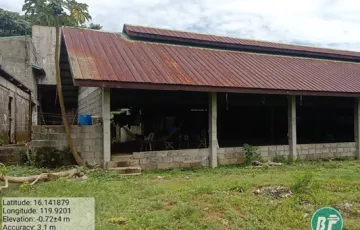 Agricultural Lot For Sale in Dulacac, Alaminos, Pangasinan