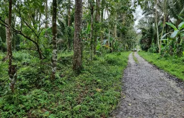 Agricultural Lot For Sale in Abang, Lucban, Quezon
