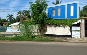 Single-family House For Sale in Looc, San Remigio, Cebu