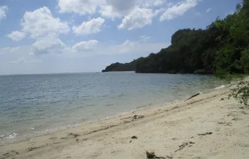 Beach lot For Sale in Padre Burgos, Quezon