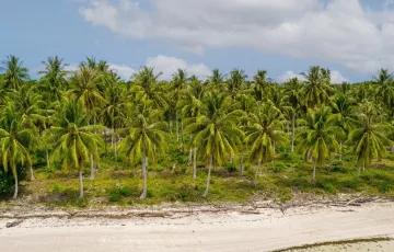 Commercial Lot For Rent in Catagupan, Balabac, Palawan