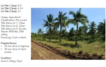 Agricultural Lot For Sale in Opol, Misamis Oriental