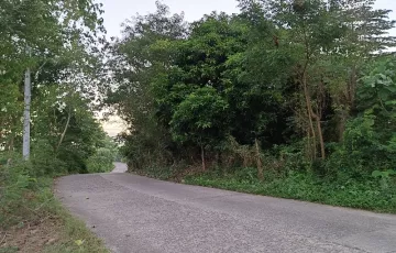 Agricultural Lot For Sale in Villa Concepcion, Roxas, Isabela