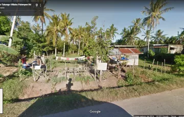 Residential Lot For Sale in Inangatan, Tabango, Leyte