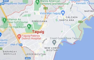 Commercial Lot For Rent in Fort Bonifacio, Taguig, Metro Manila