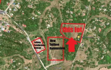 Agricultural Lot For Sale in San Isidro, Talibon, Bohol