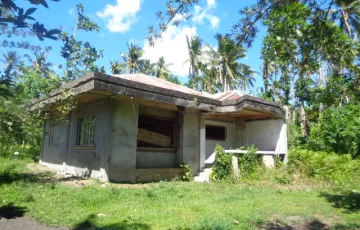 Single-family House For Sale in San Agustin, Iriga, Camarines Sur