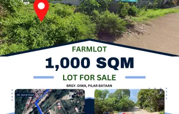 Agricultural Lot For Sale in Diwa, Pilar, Bataan