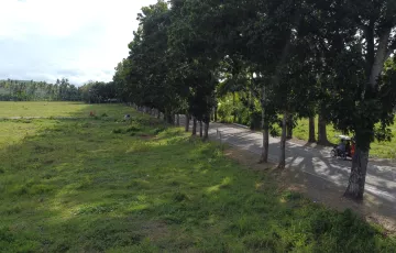 Commercial Lot For Sale in Gimama-A, Tuburan, Cebu