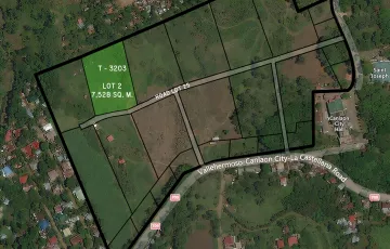 Residential Lot For Sale in Mabigo, Canlaon, Negros Oriental