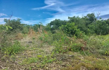 Residential Lot For Sale in Dauis, Bohol