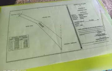 Agricultural Lot For Sale in Pamplona, Negros Oriental