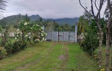Agricultural Lot For Sale in Lipa, Batangas