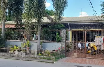 Single-family House For Sale in Pulung Maragul, Angeles, Pampanga