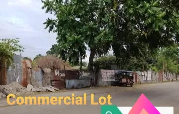 Commercial Lot For Sale in Dumaguete, Negros Oriental
