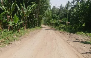 Residential Lot For Sale in Bulacan, Malalag, Davao del Sur