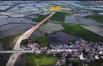 Agricultural Lot For Sale in Santo Tomas, Pampanga