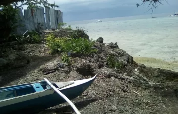 Beach lot For Sale in Saavedra, Moalboal, Cebu