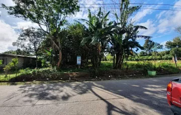 Agricultural Lot For Sale in Tranca, Bay, Laguna