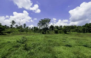 Agricultural Lot For Sale in Rizal, Lipa, Batangas