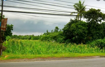 Commercial Lot For Sale in Lian, Batangas