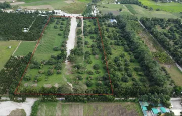 Residential Lot For Sale in Santa Lucia, Capas, Tarlac