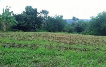 Agricultural Lot For Sale in San Salvador, Baras, Rizal
