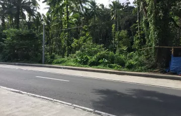 Agricultural Lot For Sale in Manasa, Lucban, Quezon