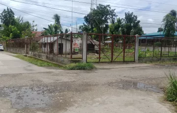 Commercial Lot For Sale in Binicuil, Kabankalan, Negros Occidental