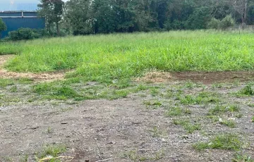 Agricultural Lot For Rent in Santo Tomas, Batangas