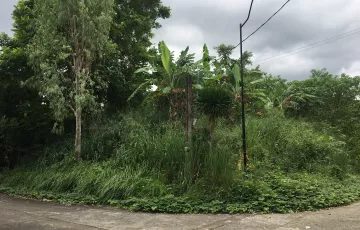 Residential Lot For Rent in Anos, Los Baños, Laguna