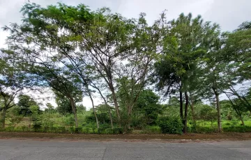 Commercial Lot For Sale in San Roque, Angono, Rizal