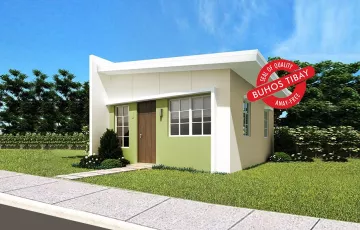 Single-family House For Sale in Efigenio Lizares, Talisay, Negros Occidental