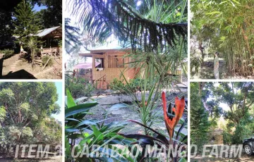 Residential Lot For Sale in Calaca, Batangas