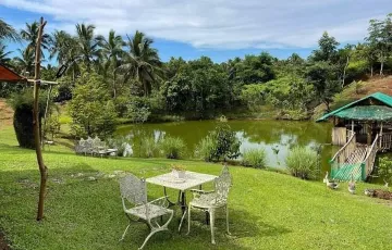 Agricultural Lot For Sale in Kalayaan, Laguna