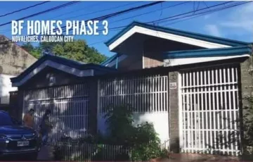Single-family House For Sale in Bagong Silang, Caloocan, Metro Manila