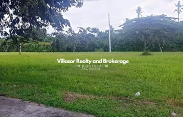 Residential Lot For Sale in Mapula, Davao, Davao del Sur