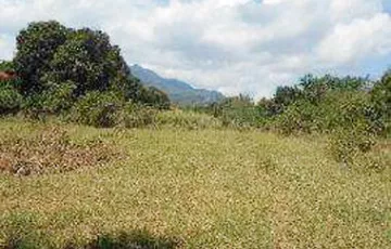 Single-family House For Sale in San Juan, Taytay, Rizal