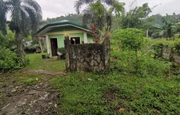 Single-family House For Sale in Wakat, Nagcarlan, Laguna