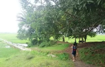 Agricultural Lot For Sale in Jabonga, Agusan del Norte