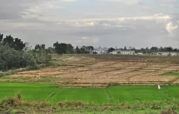 Agricultural Lot For Sale in Sapangbato, Angeles, Pampanga