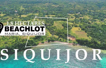 Beach lot For Sale in Candaping A, Maria, Siquijor