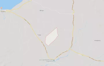 Agricultural Lot For Sale in Tuba, Jaro, Leyte