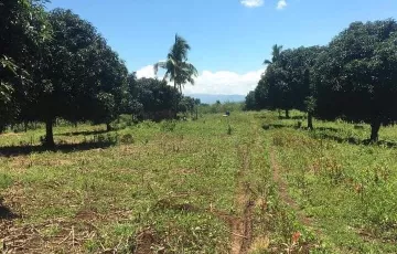 Agricultural Lot For Sale in Kibao, Matanao, Davao del Sur