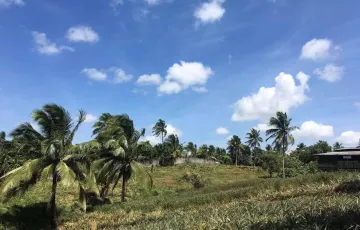 Agricultural Lot For Sale in Kalubkob, Silang, Cavite