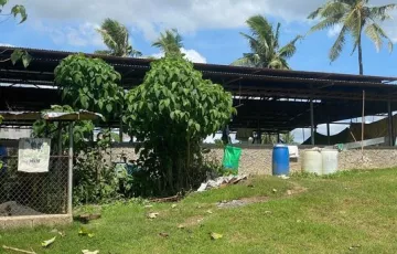 Agricultural Lot For Sale in Carcar, Cebu