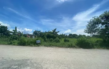 Commercial Lot For Sale in Navarro, General Trias, Cavite