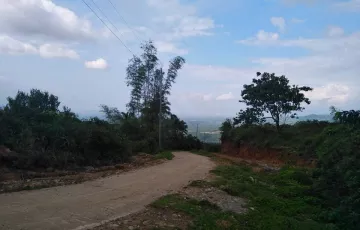 Agricultural Lot For Sale in Banawe, Pamplona, Negros Oriental