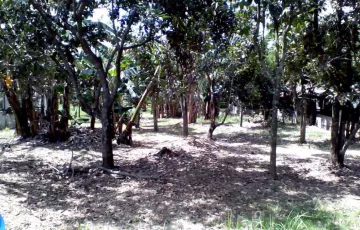 Agricultural Lot For Sale in San Jose, Batangas